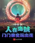 人在海贼：门门果实玩出花