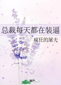 总裁每天都在装逼