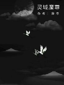 灵域魔尊