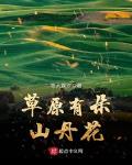 草原有朵山丹花