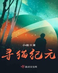 寻猫纪元