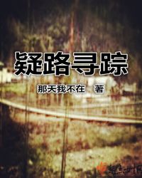疑路寻踪
