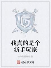 我真的是个新手玩家