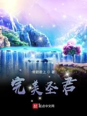 完美圣君