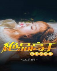 绝品高手的美女房东