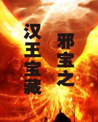 邪宝之汉王宝藏
