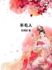 羊毛人