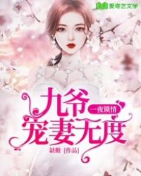 一夜锁情：九爷宠妻无度