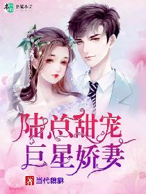 陆总甜宠巨星娇妻