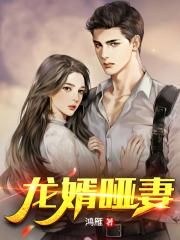 龙婿哑妻