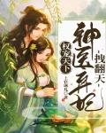权宠天下：神医弃妃拽翻天