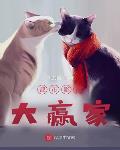 都市影视大赢家