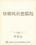 侠客风云岂惜哉