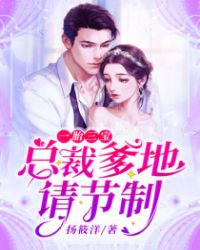 一胎三宝：总裁爹地请节制