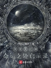 我是大红神命运之轮启示录