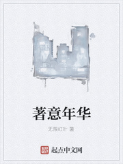 著意年华