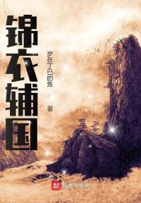 锦衣辅国
