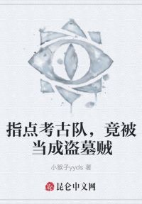 指点考古队，竟被当成盗墓贼