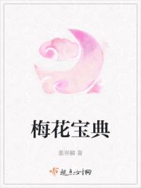 梅花宝典