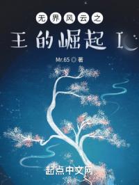 无界风云之王的崛起I