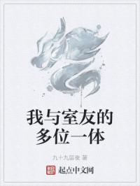 我与室友的多位一体