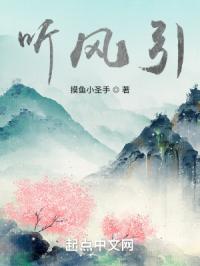 原神之听凭风引
