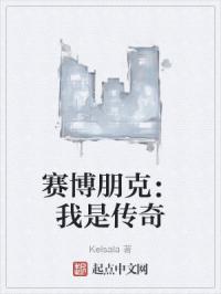 赛博朋克：我是传奇