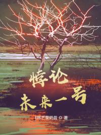 悖论：未来一号