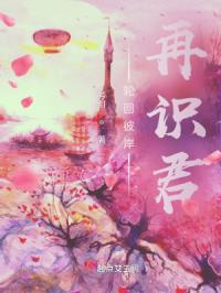 轮回彼岸再识君