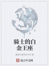 骑士的白金王座