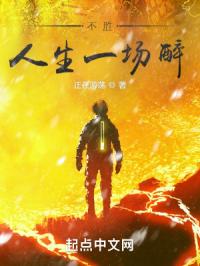 不胜人生一场醉