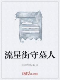 流星街守墓人