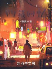 西藏回忆