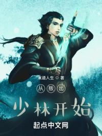 从叛出少林开始