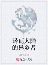 诺瓦大陆的异乡者