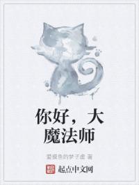 你好，大魔法师