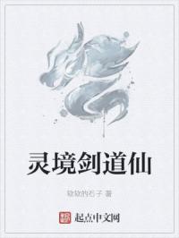 灵境剑道仙
