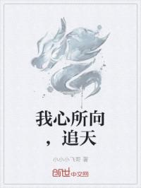 我心所向，追天