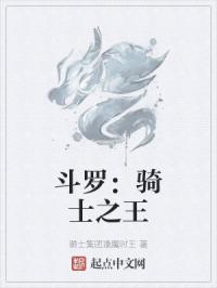 斗罗：骑士之王