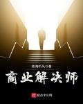 商业解决师