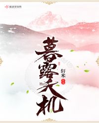 暮露天机