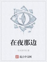 在夜那边