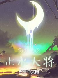 海贼王之止水大将