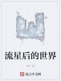 流星后的世界