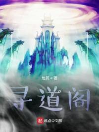 寻道阁