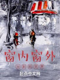 窗内窗外：分割的世界