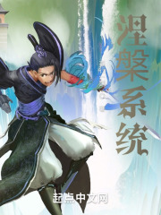 涅槃系统