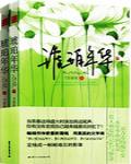琥珀年华