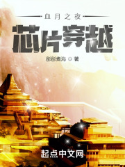 血月之夜：芯片穿越