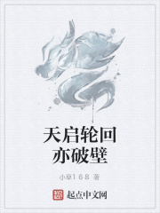 天启轮回亦破壁